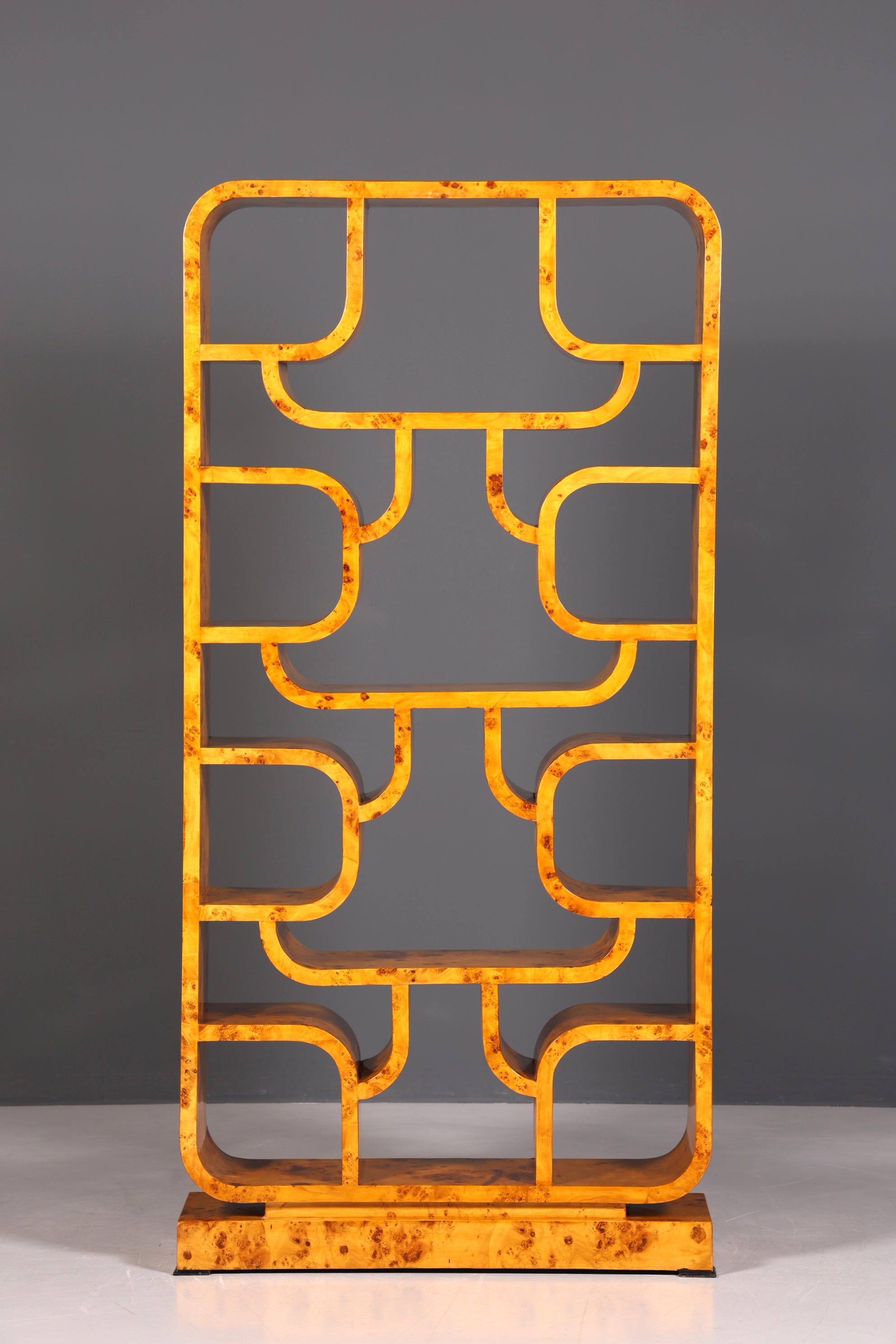 Beeindruckendes Ludvik Volak Stil Bücherregal Birke Art Deco Stil Luxus Möbel Kult Bibliothek Raumteiler