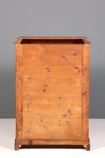 Wunderschöner Gründerzeit Sekretär Vertiko Highboard Louis Philippe Kommode um 1880