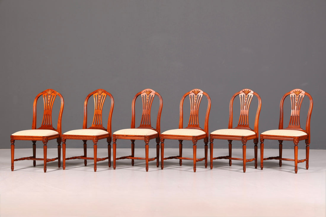 Edles 6er Set Stühle Gustavianischer Stil Englisch Esszimmerstühle Antik Polsterstuhl Set