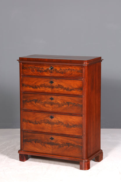 F975 Finish Traumhafte Gründerzeit Kommode Jugendstil Schubladenkommode Antik Vertiko Wäschekommode