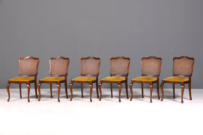 6x Wunderschöne Chippendale Stühle Barock Stil Stuhlset Polsterstuhl Set Küchenstühle Esszimmer Stühle