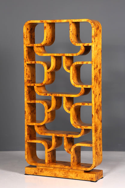 Beeindruckendes Ludvik Volak Stil Bücherregal Birke Art Deco Stil Luxus Möbel Kult Bibliothek Raumteiler