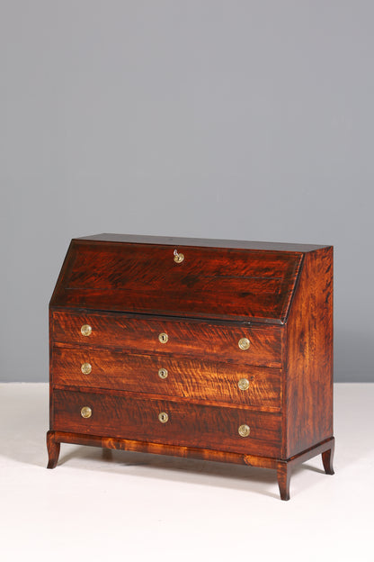 Wunderschöner Original Biedermeier Sekretär um 1860 Englisch Kommode Antik Bürokommode