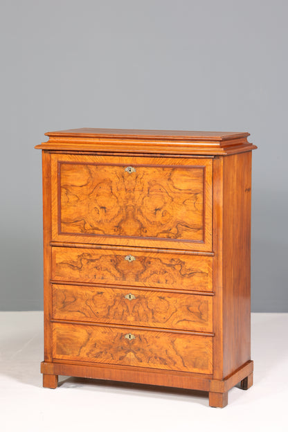 Wunderschöner Louis Philippe Sekretär um 1880 Gründerzeit Vertiko Antik Schrank Chiffoniere