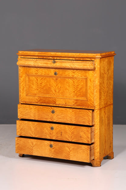 Beeindruckender Biedermeier Sekretär Vertiko Antik Kommode Office Schreibkommode Highboard