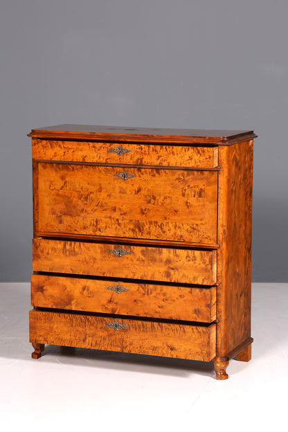 F878 Finish cm Wunderschöner Gründerzeit Sekretär Kommode Jugendstil Schubladenkommode Antik Vertiko