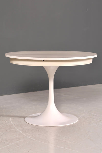 G239 Finish COr Tulip 680-780 geschätzt