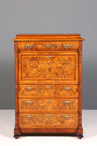 Wunderschöner Gründerzeit Sekretär Vertiko Highboard Louis Philippe Kommode um 1880