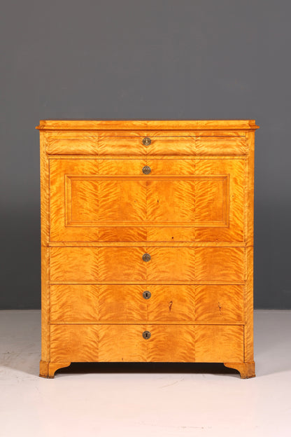 Beeindruckender Biedermeier Sekretär Vertiko Antik Kommode Office Schreibkommode Highboard
