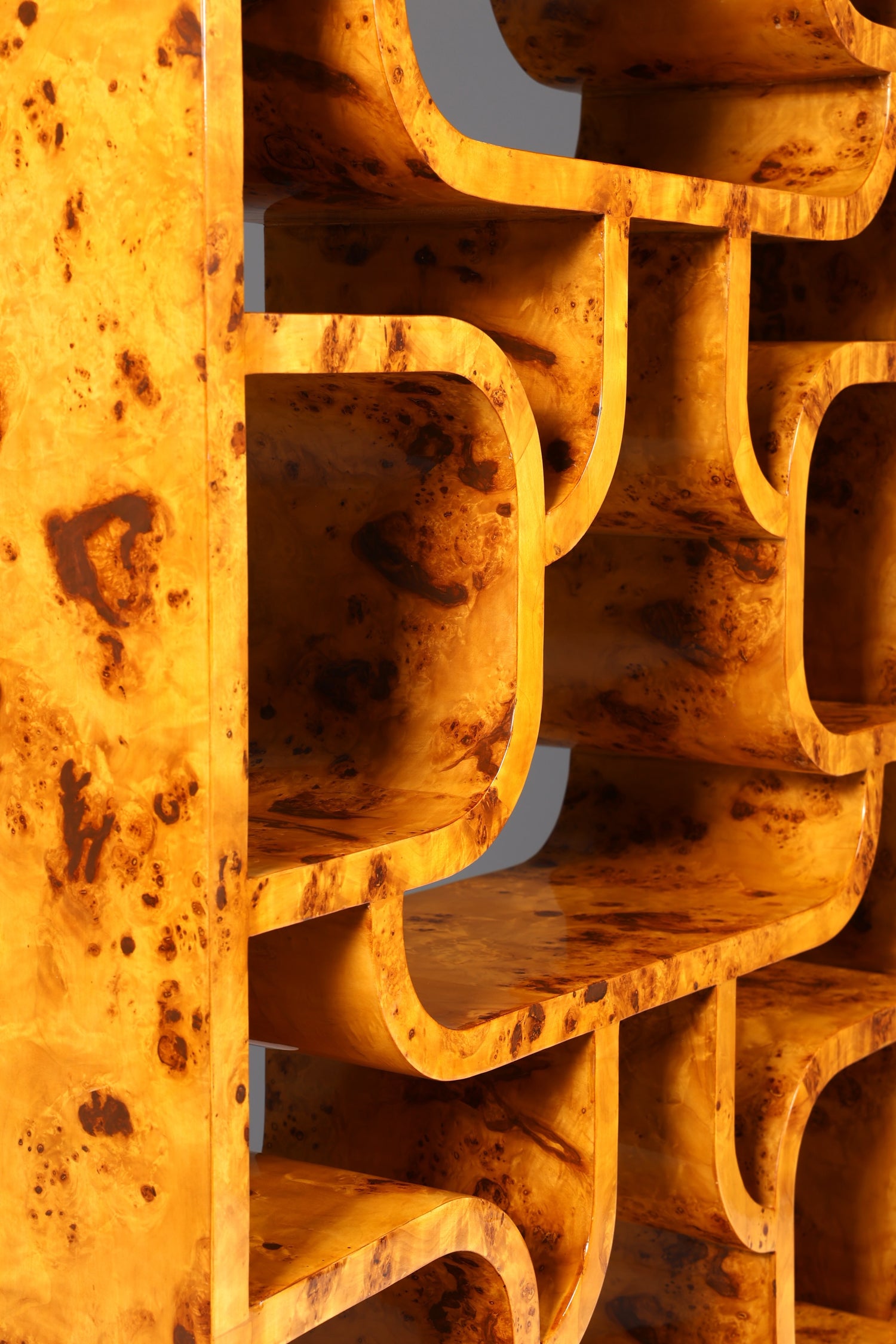 Beeindruckendes Ludvik Volak Stil Bücherregal Birke Art Deco Stil Luxus Möbel Kult Bibliothek Raumteiler