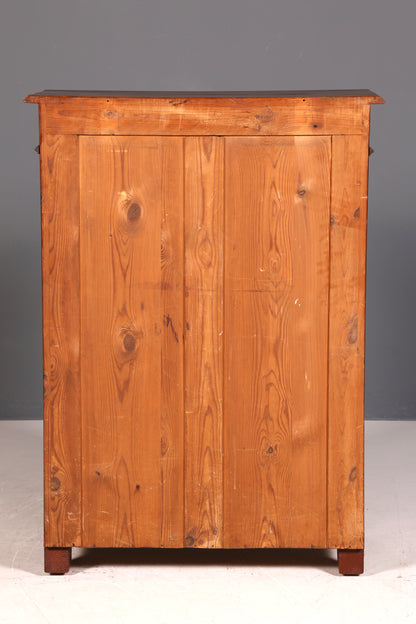 G360 Finish Traumhaftes Gründerzeit Vertiko Jugendstil Schrank Antik Highboard Kommode (Kopie 2)