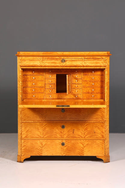 Beeindruckender Biedermeier Sekretär Vertiko Antik Kommode Office Schreibkommode Highboard