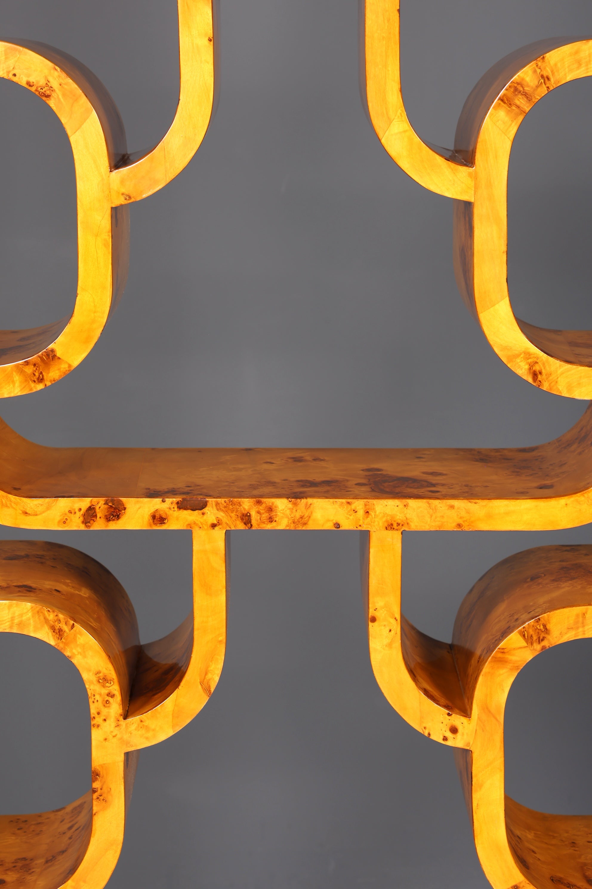 Beeindruckendes Ludvik Volak Stil Bücherregal Birke Art Deco Stil Luxus Möbel Kult Bibliothek Raumteiler