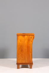 Edle Gründerzeit Kommode Jugendstil Schubladenkommode Antik Wäschekommode