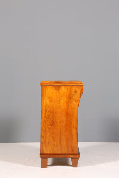 Edle Gründerzeit Kommode Jugendstil Schubladenkommode Antik Wäschekommode