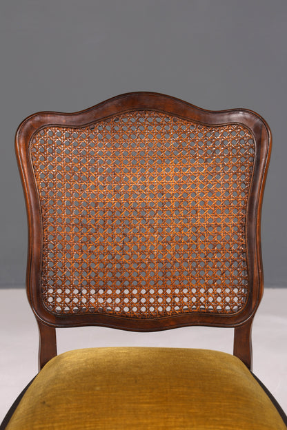 6x Wunderschöne Chippendale Stühle Barock Stil Stuhlset Polsterstuhl Set Küchenstühle Esszimmer Stühle