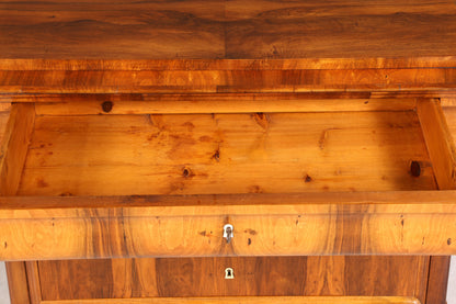 Stilvolle Original Biedermeier Kommode um 1860 Antik Schrank Schubladenkommode Wäschekommode