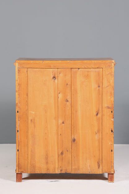 Edler Biedermeier Sekretär Vertiko Antik Kommode Louis Philippe Schreibkommode Schreibtisch