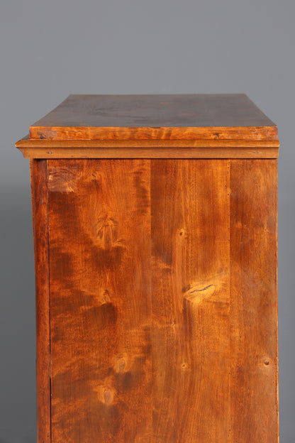 Edler Biedermeier Sekretär Vertiko Antik Kommode Louis Philippe Schreibkommode Schreibtisch