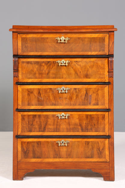 Edler Gründerzeit Kommode Jugendstil Schubladenkommode Antik Wäschekommode Vertiko