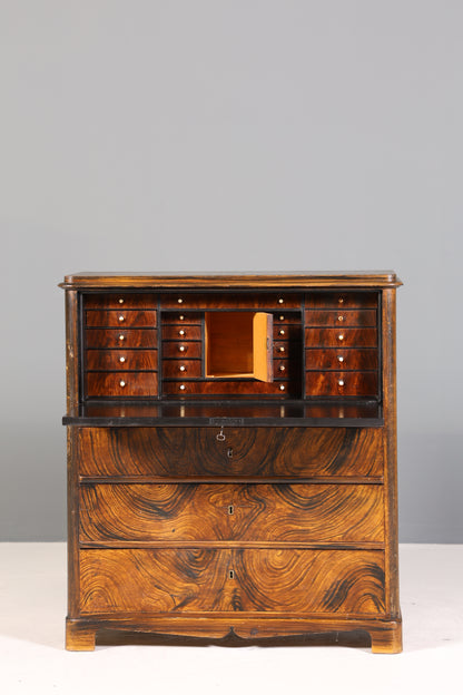 Stilvoller Biedermeier Sekretär Vertiko Antik Kommode Louis Philippe Schreibkommode