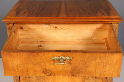 Stilvoller Gründerzeit Sekretär Vertiko Highboard Louis Philippe Kommode um 1880